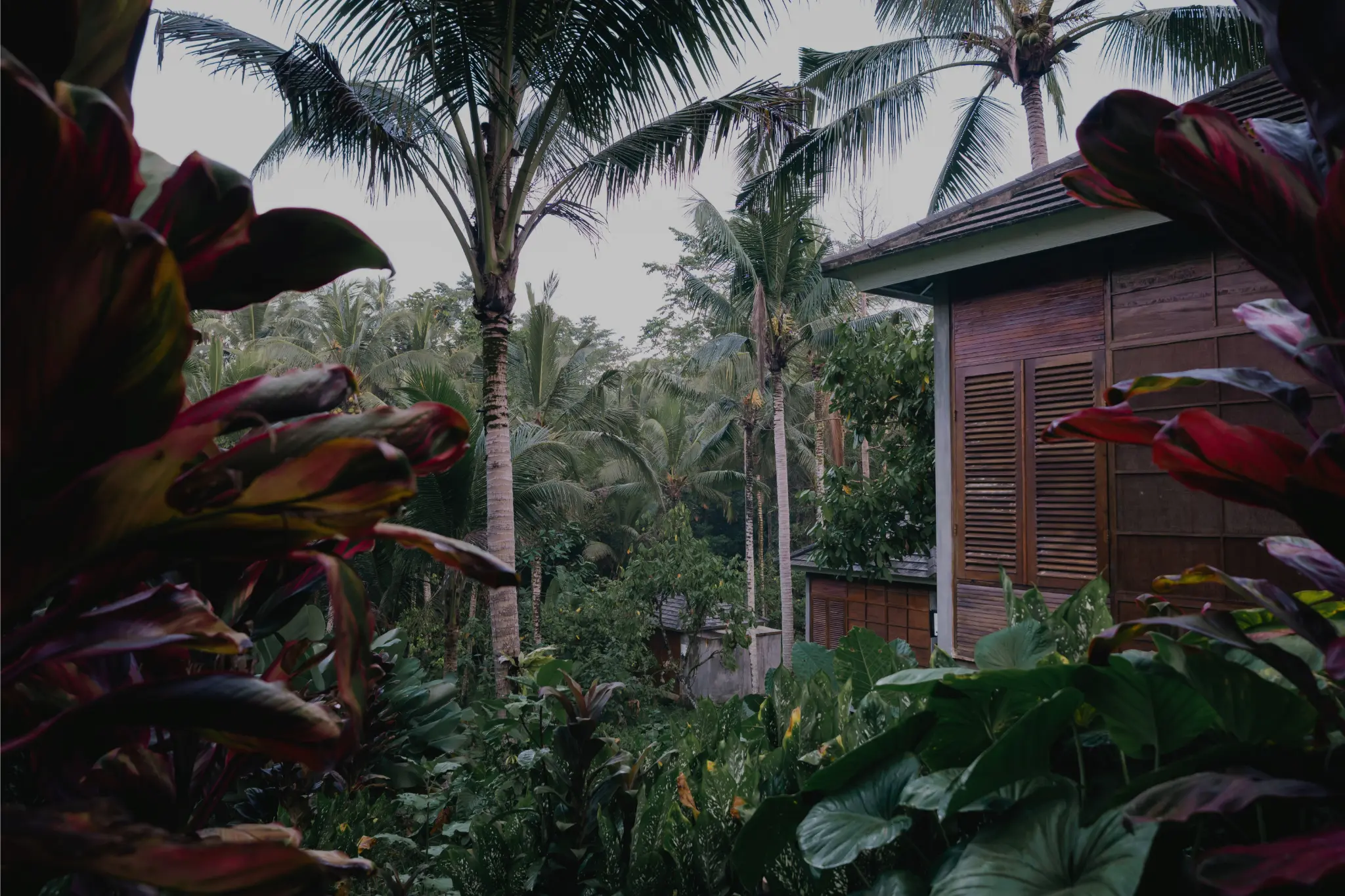 Nature Living Cabins at Tabanan Bali