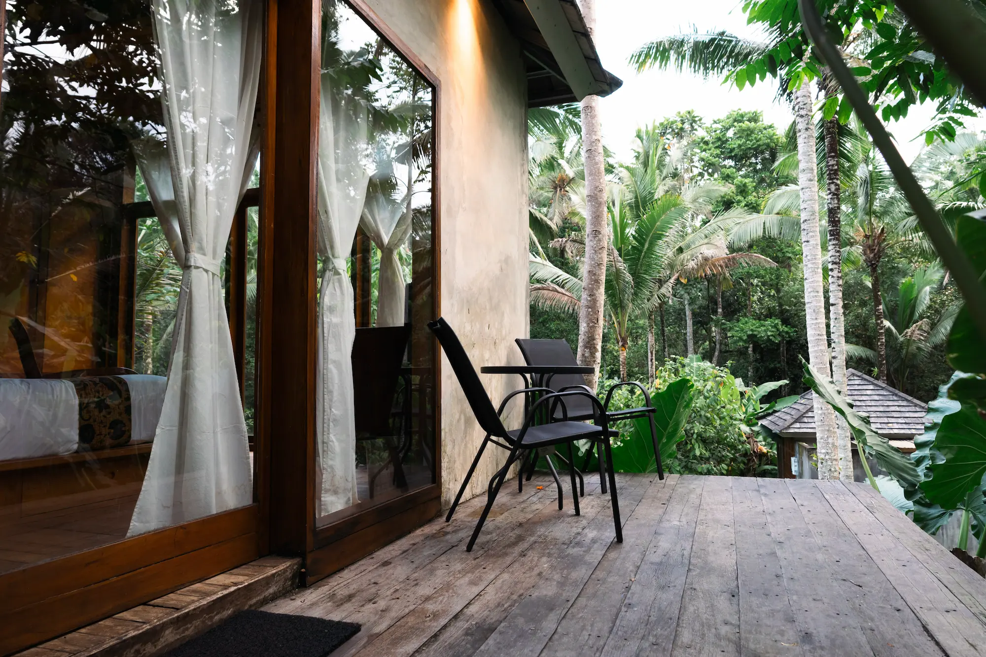 Forest path beside the retreat rooms