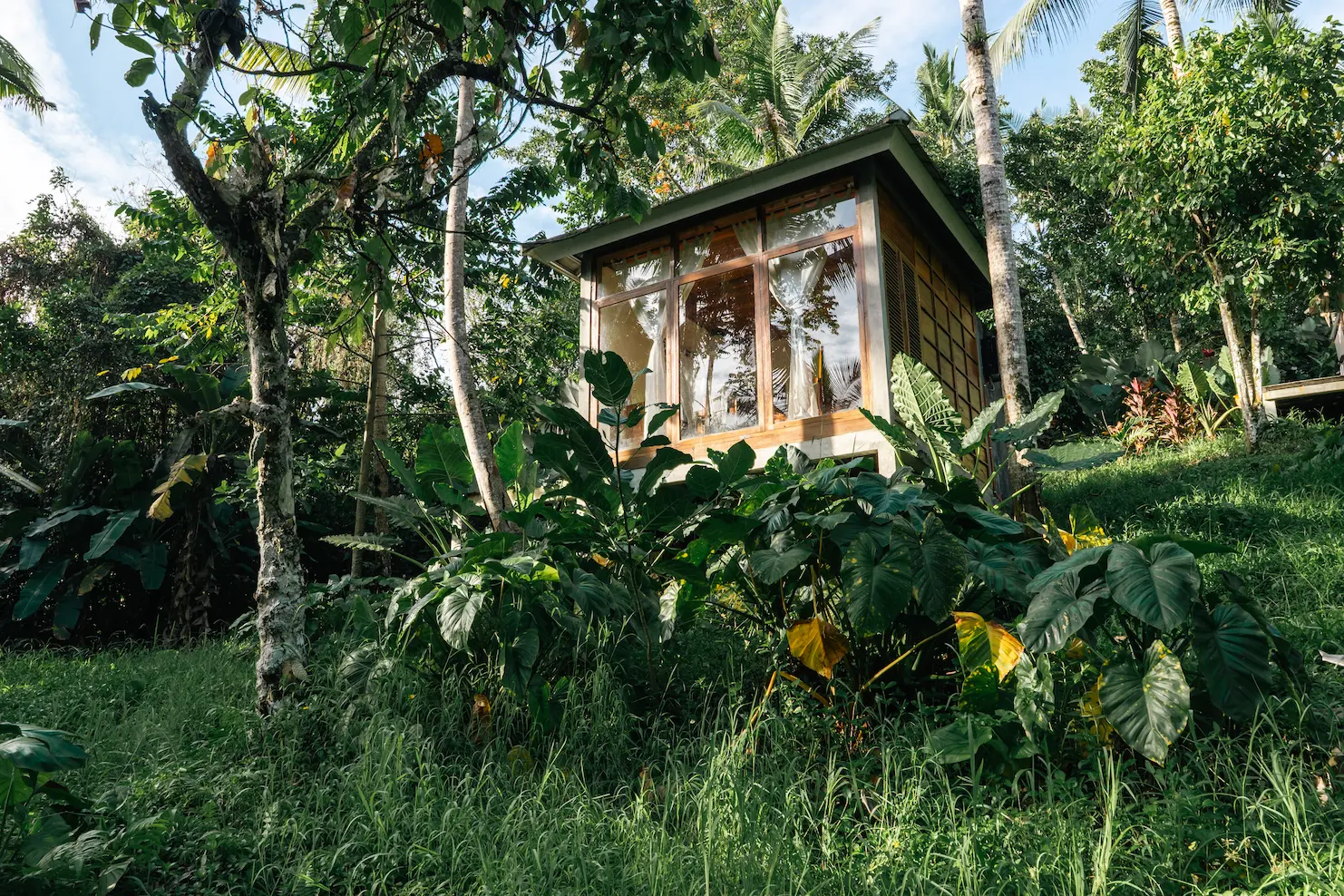 Jungle cabin nestled in tropical plants